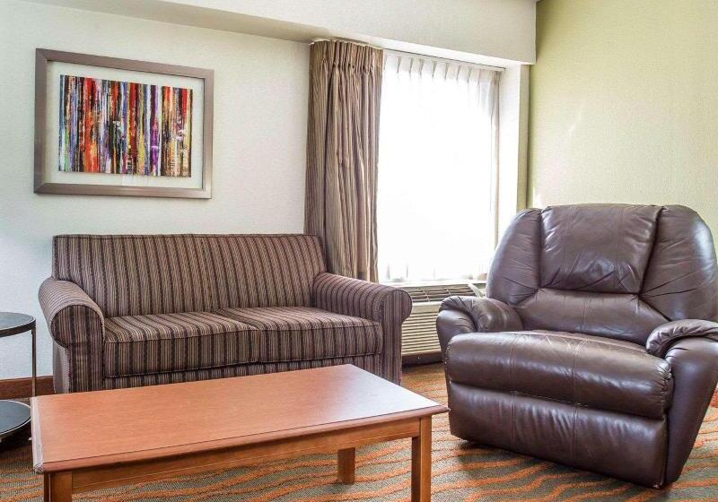 اتاق استاندارد با تخت بزرگ, Comfort Inn