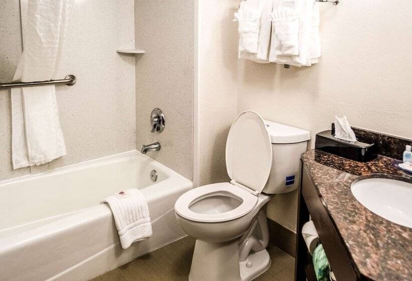 اتاق استاندارد با 2 تخت دوبل, Comfort Inn Downtown Charleston
