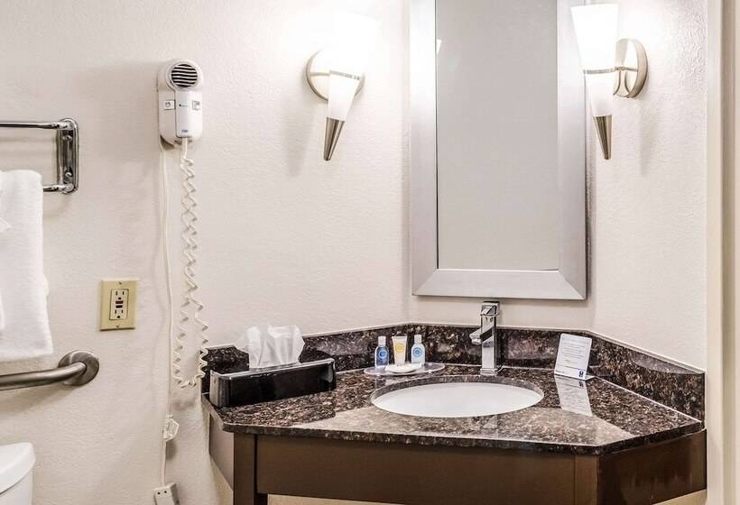 اتاق استاندارد با 2 تخت دوبل, Comfort Inn Downtown Charleston