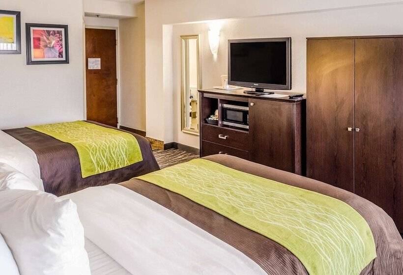 اتاق استاندارد با 2 تخت دوبل, Comfort Inn Downtown Charleston
