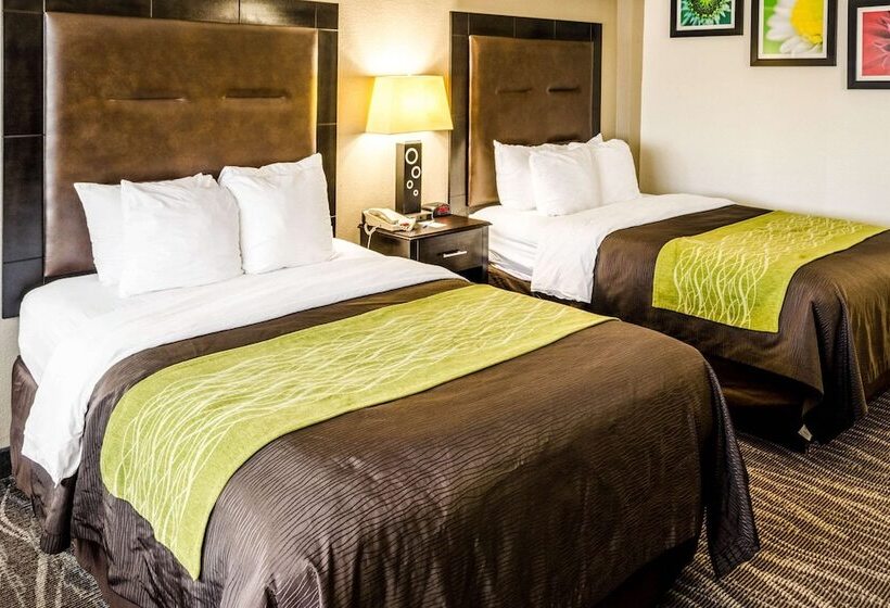 اتاق استاندارد با 2 تخت دوبل, Comfort Inn Downtown Charleston