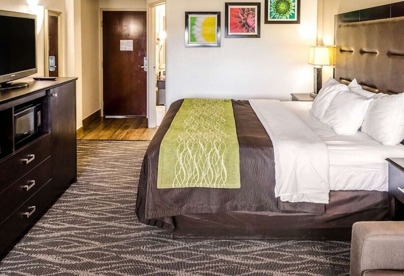 سوییت, Comfort Inn Downtown Charleston