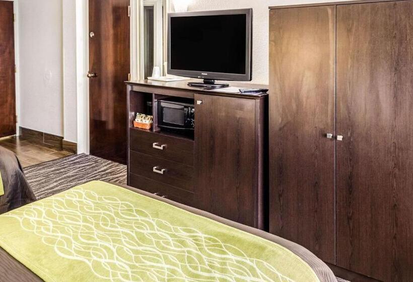 اتاق استاندارد با 2 تخت دوبل, Comfort Inn Downtown Charleston