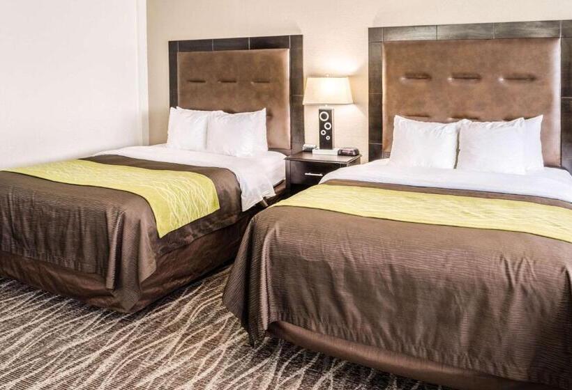 اتاق استاندارد با 2 تخت دوبل, Comfort Inn Downtown Charleston