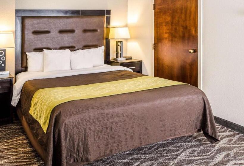 اتاق استاندارد با تخت بزرگ, Comfort Inn Downtown Charleston