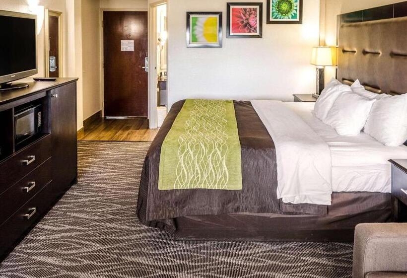 اتاق استاندارد با تخت بزرگ, Comfort Inn Downtown Charleston