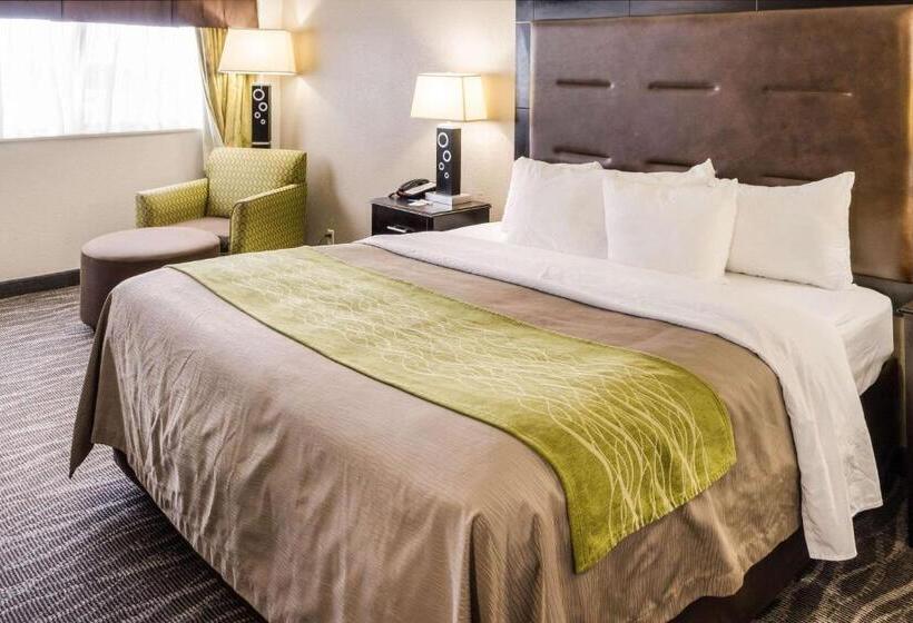 اتاق استاندارد با تخت بزرگ, Comfort Inn Downtown Charleston