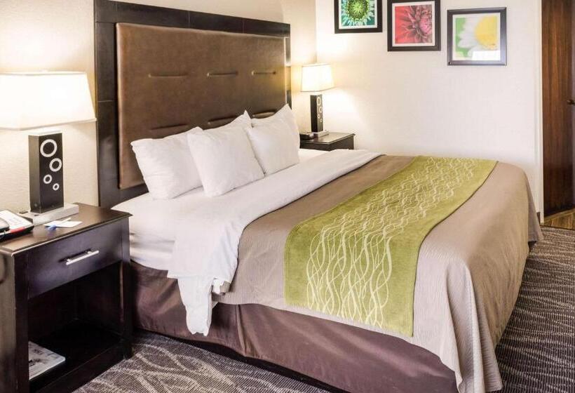 اتاق استاندارد با تخت بزرگ, Comfort Inn Downtown Charleston