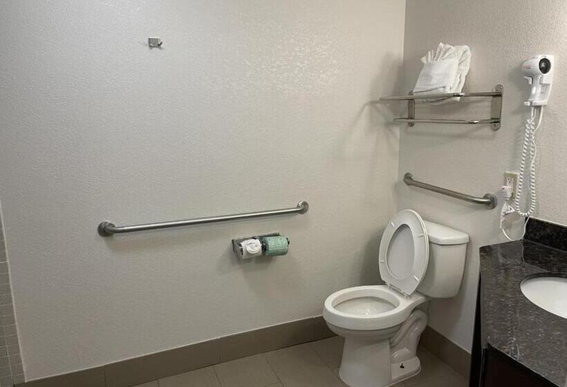 اتاق استاندارد برای معلولان, Comfort Inn Downtown Charleston