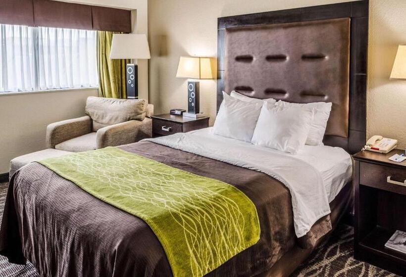 اتاق استاندارد برای معلولان, Comfort Inn Downtown Charleston