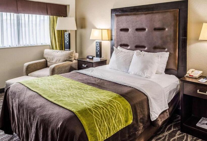 Standard Room Adapted for people with reduced mobility, Comfort Inn Downtown Charleston