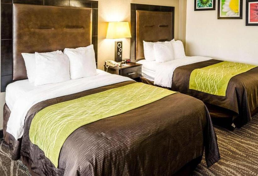 سوییت, Comfort Inn Downtown Charleston