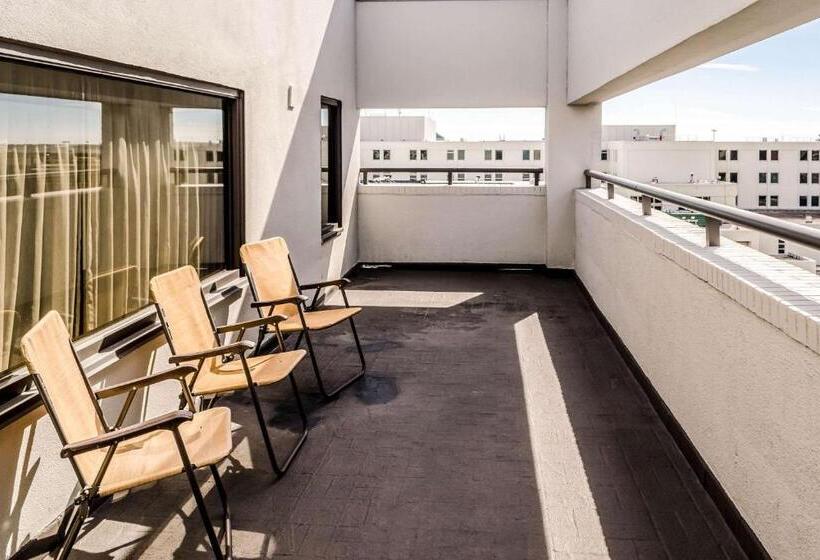 سوئیت با تخت بزرگ, Comfort Inn Downtown Charleston