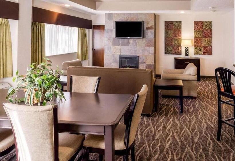 سوئیت با تخت بزرگ, Comfort Inn Downtown Charleston