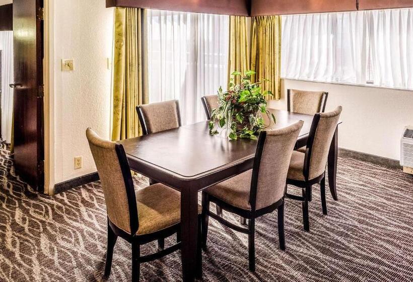 سوئیت با تخت بزرگ, Comfort Inn Downtown Charleston