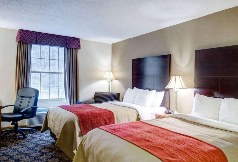 غرفه قياسيه سريرين مزدوجين, Comfort Inn Foxboro  Mansfield