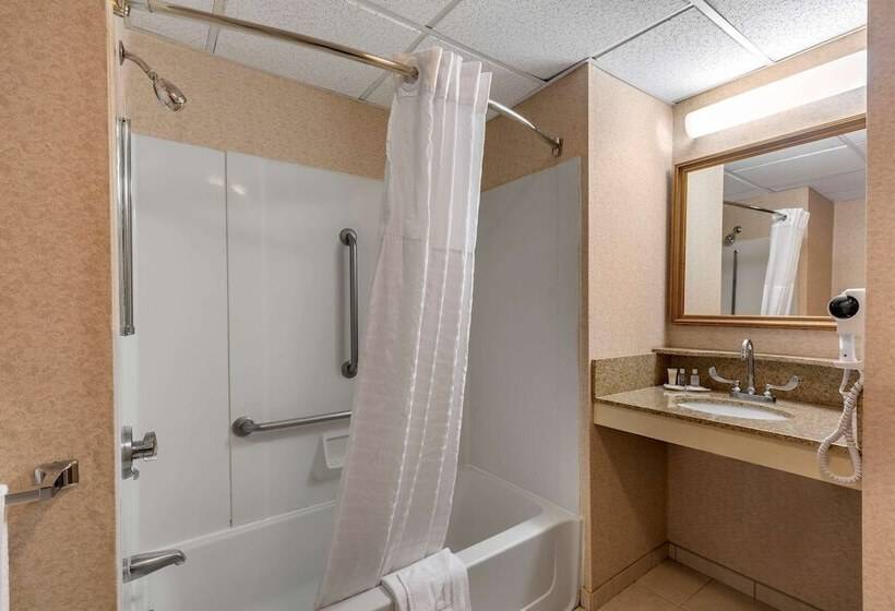 身障者適用キングサイズベッドルーム, Comfort Inn Foxboro – Mansfield