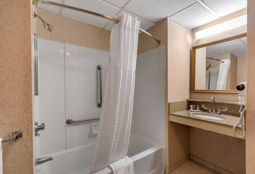 غرفة قياسية سرير كينج لذوى الإحتياجات الخاصة, Comfort Inn Foxboro  Mansfield