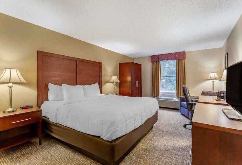 Habitación Estándar Cama King Adaptada para personas con movilidad reducida, Comfort Inn Foxboro  Mansfield