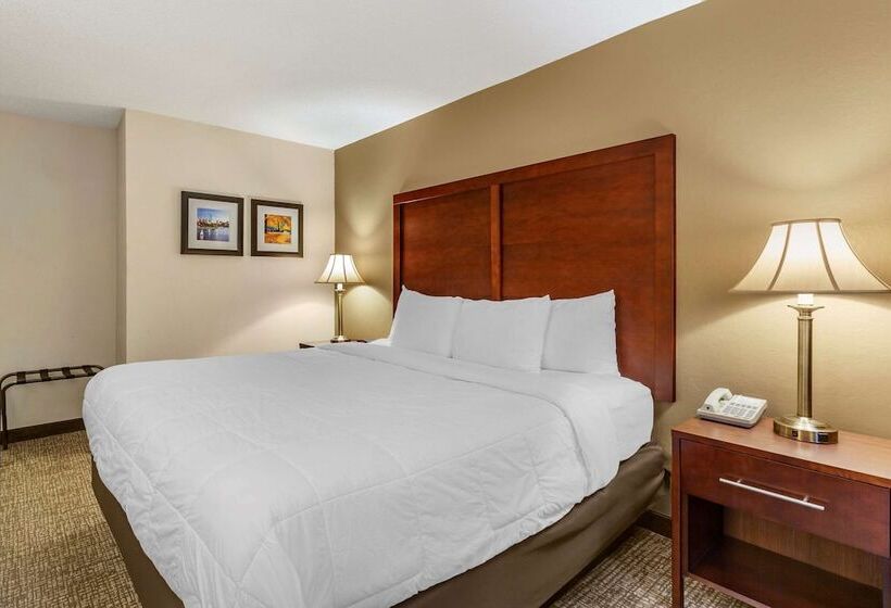 身障者適用キングサイズベッドルーム, Comfort Inn Foxboro – Mansfield