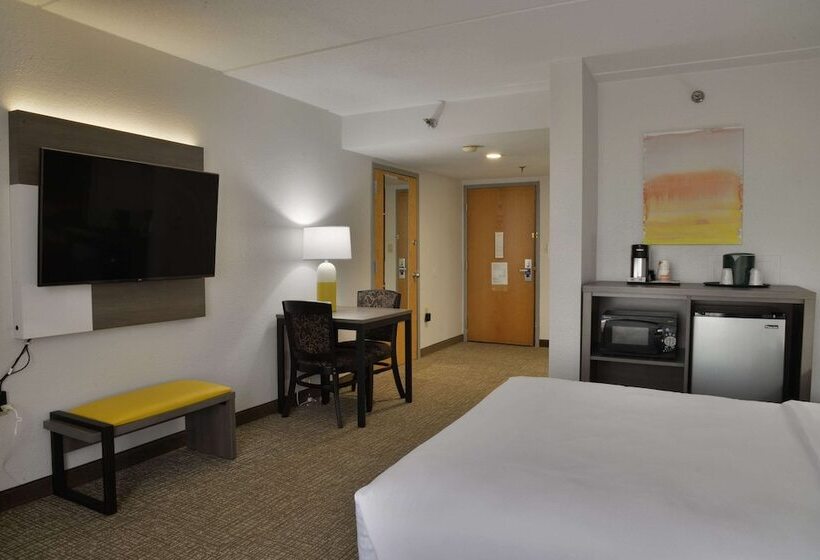 اتاق استاندارد با تخت دوبل برای معلولان, Comfort Inn Gold Coast