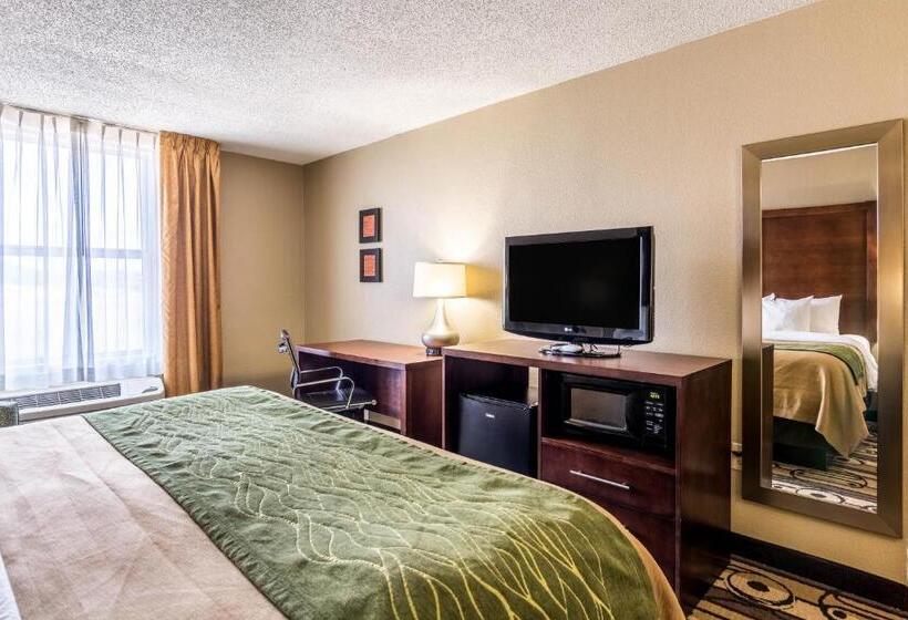 اتاق استاندارد با تخت بزرگ, Comfort Inn & Suites