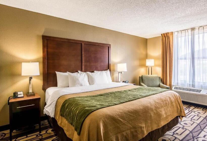 اتاق استاندارد با تخت بزرگ, Comfort Inn & Suites