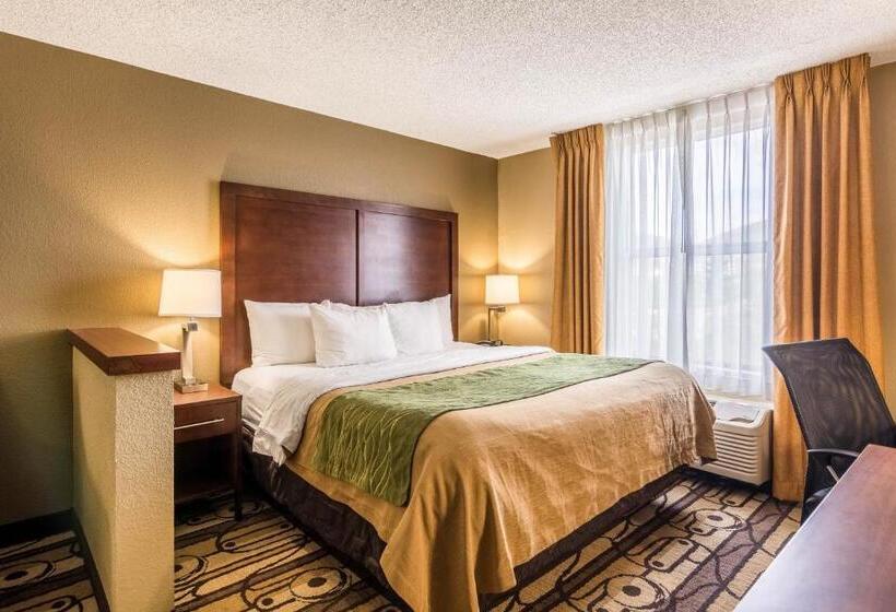 اتاق استاندارد با تخت بزرگ, Comfort Inn & Suites