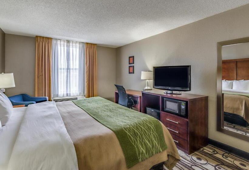اتاق استاندارد با تخت بزرگ, Comfort Inn & Suites