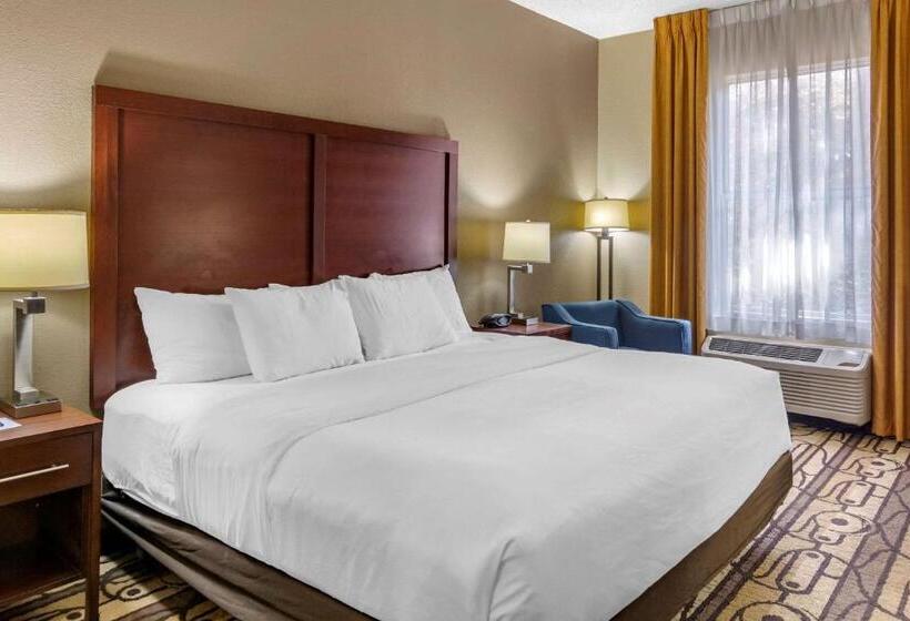 اتاق استاندارد با تخت بزرگ, Comfort Inn & Suites