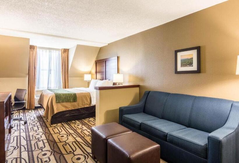 اتاق استاندارد, Comfort Inn & Suites