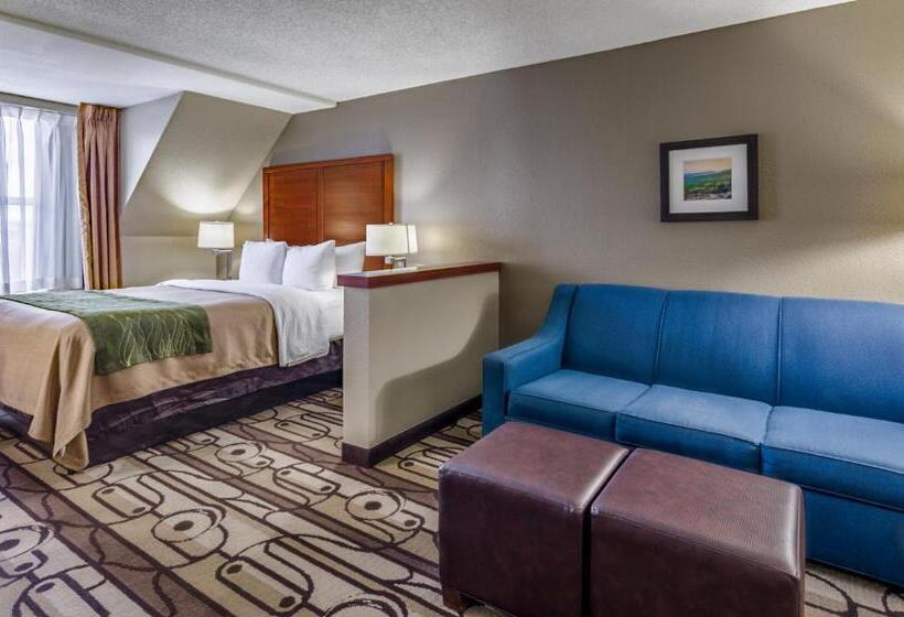 اتاق استاندارد, Comfort Inn & Suites