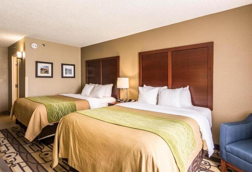 اتاق استاندارد, Comfort Inn & Suites
