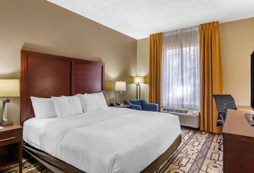 اتاق استاندارد با تخت بزرگ برای معلولان, Comfort Inn & Suites