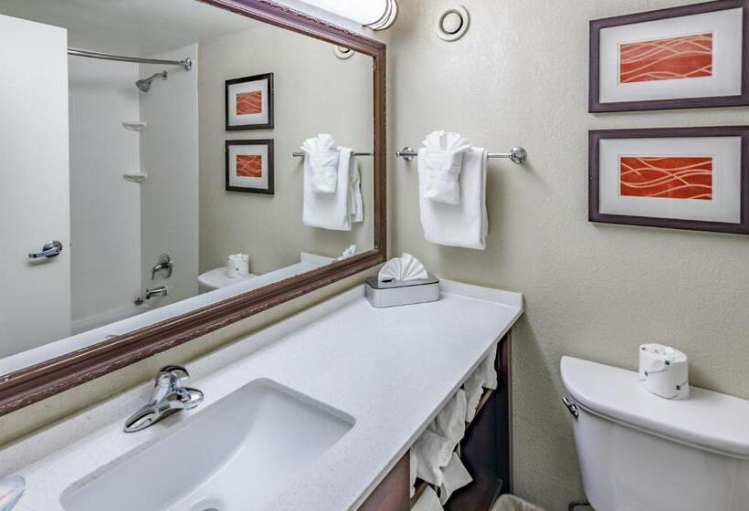 اتاق استاندارد برای معلولان, Comfort Inn & Suites