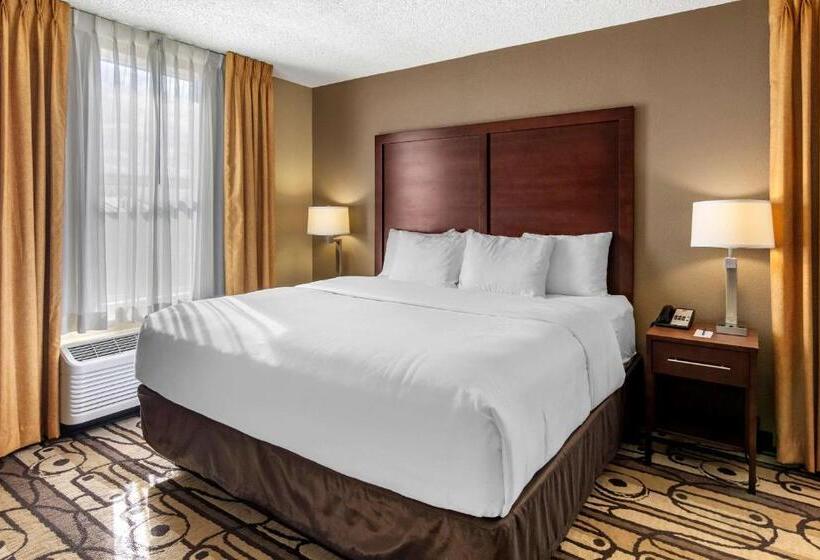 سوئیت با تخت بزرگ, Comfort Inn & Suites
