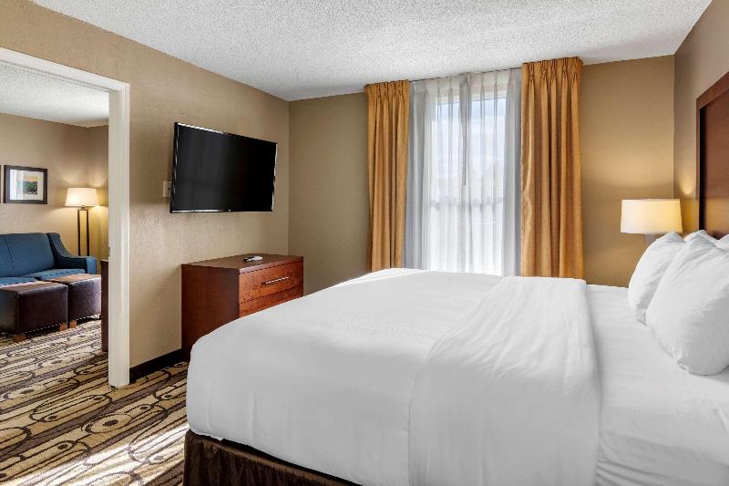 سوئیت با تخت بزرگ, Comfort Inn & Suites
