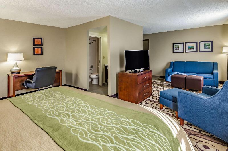 سوئیت با تخت بزرگ, Comfort Inn & Suites