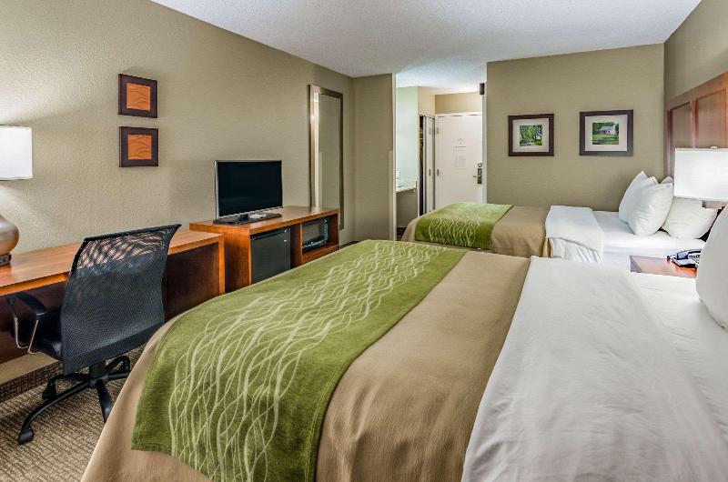 اتاق استاندارد چهار تخته, Comfort Inn & Suites