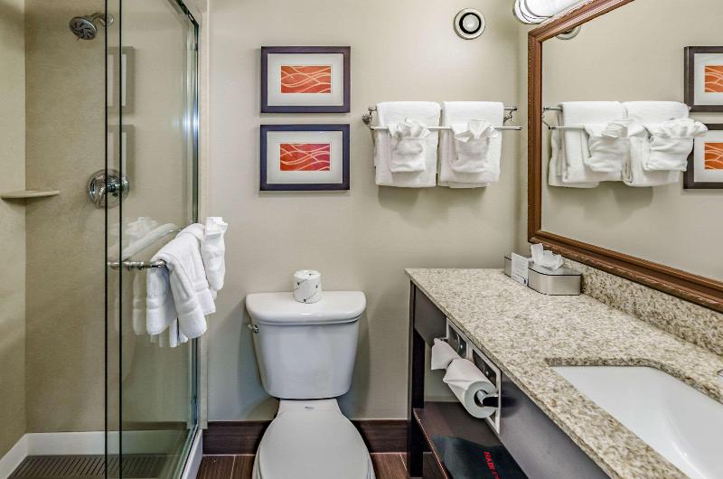 اتاق استاندارد چهار تخته, Comfort Inn & Suites