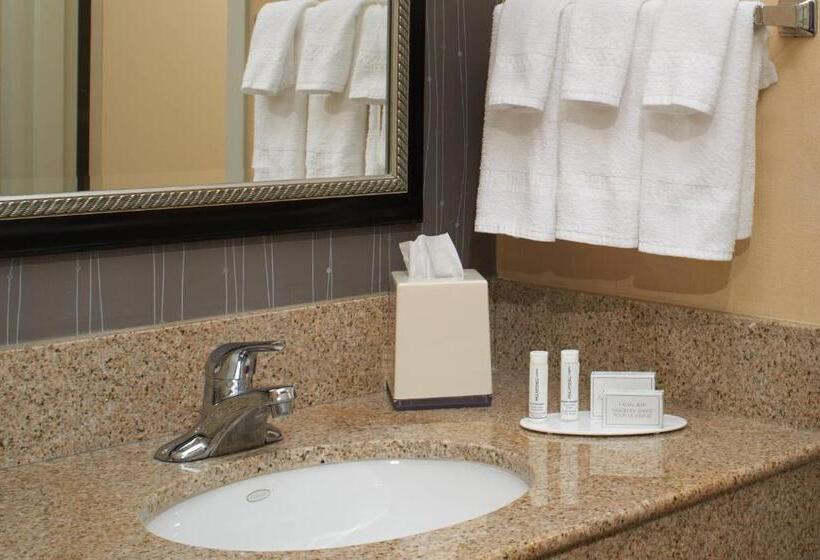 اتاق استاندارد با تخت بزرگ برای معلولان, Courtyard By Marriott Detroit Dearborn