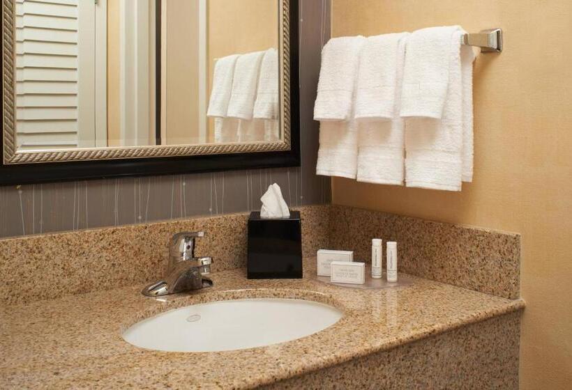 اتاق استاندارد با تخت بزرگ, Courtyard By Marriott Detroit Warren