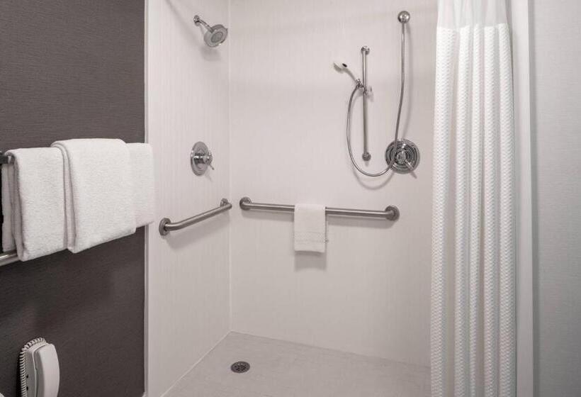 اتاق استاندارد با تخت بزرگ, Courtyard By Marriott Dulles Airport Herndon/reston