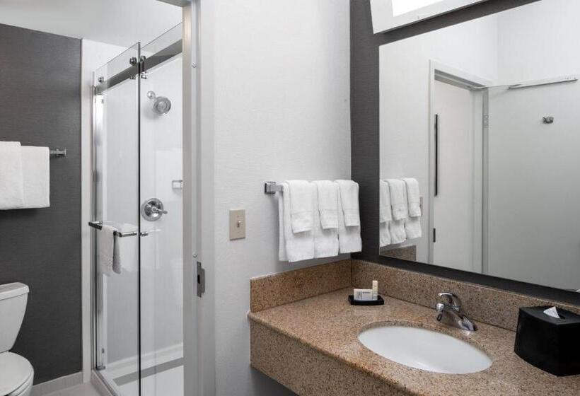 اتاق استاندارد با تخت بزرگ, Courtyard By Marriott Dulles Airport Herndon/reston