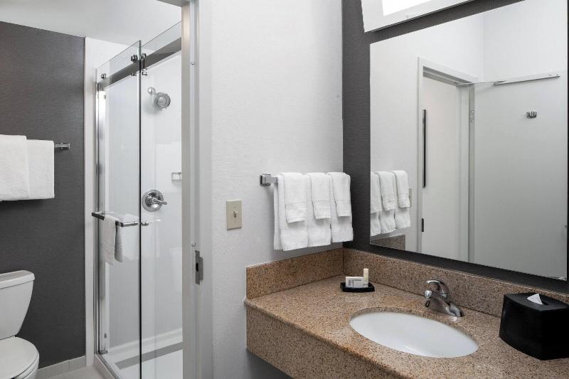 اتاق استاندارد با تخت بزرگ, Courtyard By Marriott Dulles Airport Herndon/reston
