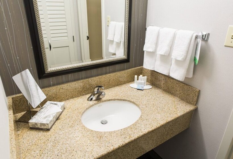 اتاق استاندارد با 2 تخت دوبل, Courtyard Montgomery