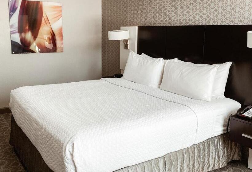اتاق استاندارد با تخت بزرگ, Crowne Plaza Chicago Sw   Burr Ridge, An Ihg