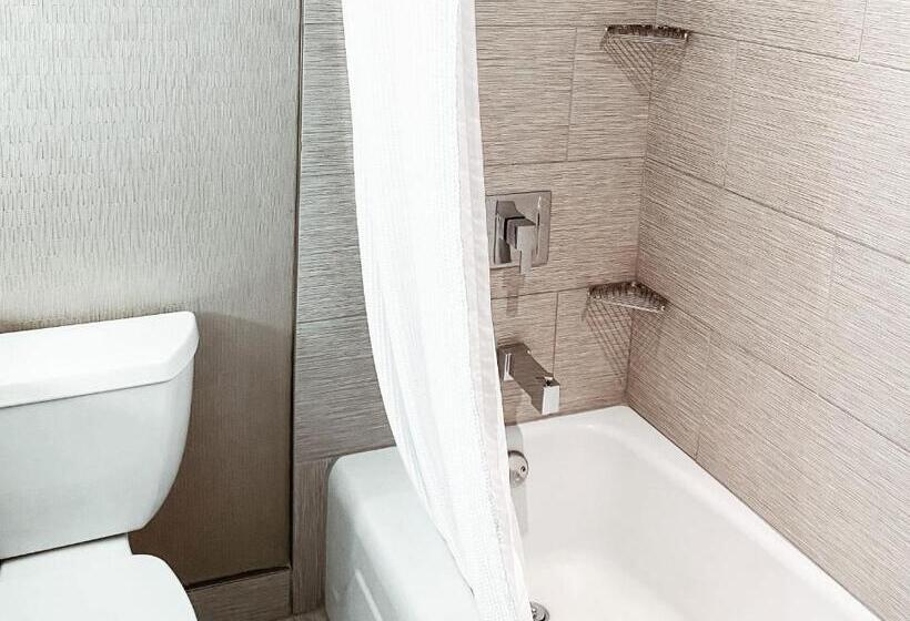اتاق استاندارد برای معلولان, Crowne Plaza Chicago Sw   Burr Ridge, An Ihg