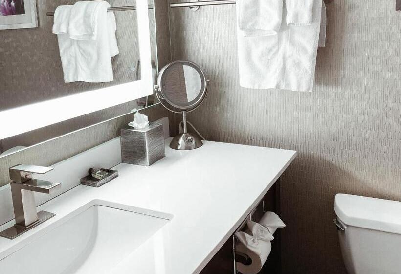 اتاق استاندارد با تخت بزرگ, Crowne Plaza Chicago Sw   Burr Ridge, An Ihg