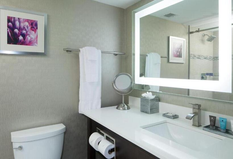 اتاق استاندارد با تخت بزرگ, Crowne Plaza Chicago Sw   Burr Ridge, An Ihg